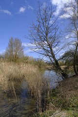 Sander Baggerseen im Naturschutzgebiet Mainaue bei Augsfeld, Landkreis Hassberge, Unterfranken, Franken, Bayern, Deutschland.
