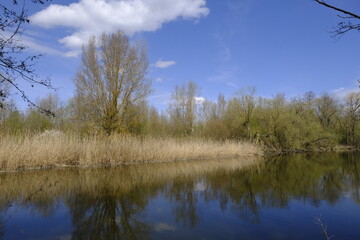 Sander Baggerseen im Naturschutzgebiet Mainaue bei Augsfeld, Landkreis Hassberge, Unterfranken, Franken, Bayern, Deutschland.