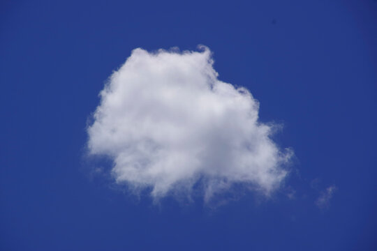 Round, white cloud against the blue sky.