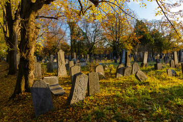 Ein Spaziergang am Wiener Zentralfriedhof