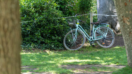 Fototapeta na wymiar Light blue city bike near green bushes, glimpsed between two tree trunks