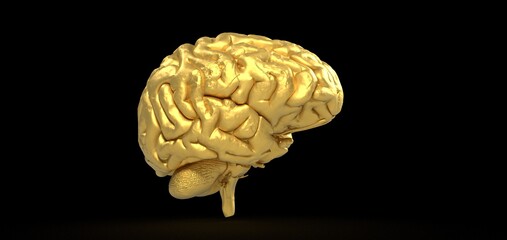 Colorful polygonal 3D brain illustration on BG.