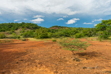Sertao landscape in the countryside of Oeiras, Piaui (Northeast Brazil)