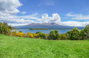 Fototapeta premium Mount Tongariro in New Zealand