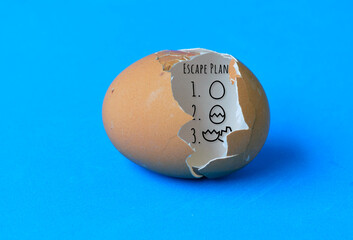 A cracked eggshell  with an escape plan drawn inside as a symbol of freedom