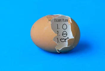 Foto op Plexiglas A cracked eggshell  with an escape plan drawn inside as a symbol of freedom © ResiLente