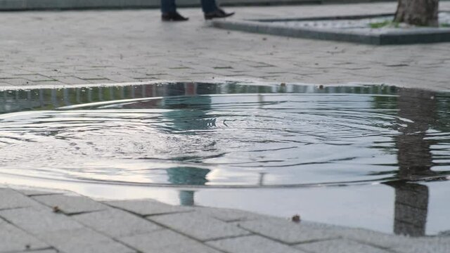 Legs of a businessman in shoes walking somewhere walking in a puddle