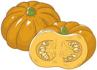 カボチャ