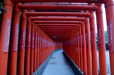 稲荷神社　千本鳥居