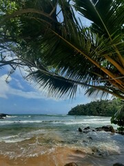 Fototapeta na wymiar Piękne tropikalne tło, krajobraz wybrzeża z oceanem i niebem.