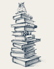 Stack of books and an owl on top. Concept of education, writing, study, literature, wisdom - 437569340