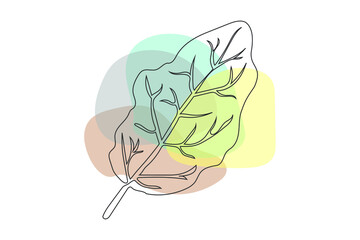 Abstract line leaves in lines and arts background Minimal and natural wall art. line art drawing with abstract shape. different shapes for wall decoration, postcard or brochure cover design