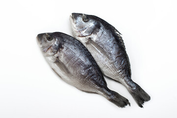 Two fresh dorado fish on white background