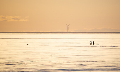 Fototapeta premium sunset on the sea