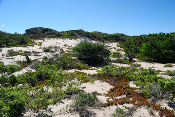Fototapeta na wymiar Veduta delle dune di Poltu Biancu nel comune di Badesi