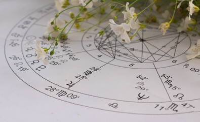 Detail of printed astrology chart with planet Neptun and small white spring flowers in the background © Blazenka