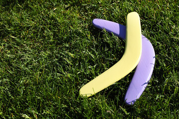 Violet and yellow wooden boomerangs on green grass outdoors, space for text - obrazy, fototapety, plakaty