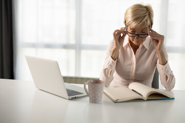 Mature businesswoman working on laptop and taking notes in the office