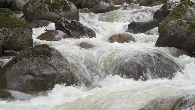 Water rushing over large rocks in a fresh water stream in the Pacific Northwest.  Olney Creek in Snohomish County in Washington State flows rapidly in early spring creating waves of white water 
