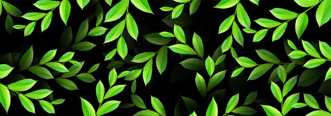 Spring or summer nature. Overgrown tree branches with fresh green leaves. Exotic texture. Botanical design for banner cosmetics, spa, perfume, health care, products, aroma. Luxurious background.