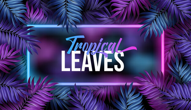 Summer night jungle background. Dark blue and violet Tropical party design with palm leaves and neon light. suitable for flyer banner. Vector illustration.