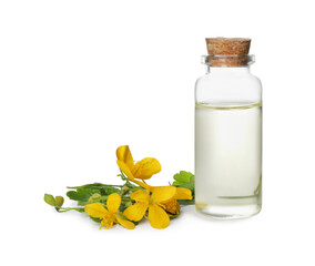 Bottle of essential oil and celandine on white background