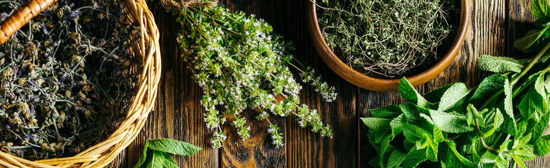 Harvesting of medicinal herbs. Alternative medicine.