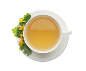 Cup of aromatic celandine tea and flowers on white background, top view