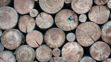 stack of woods abstract background for any purpose