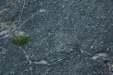 rough concrete surface with grass in cracks