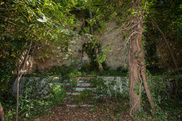 Abandoned haunted house swallowed by the forest