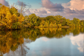 Naklejka na ściany i meble autumn trees reflecting in lake