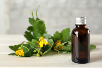 Bottle of celandine tincture and plant on white wooden table, space for text
