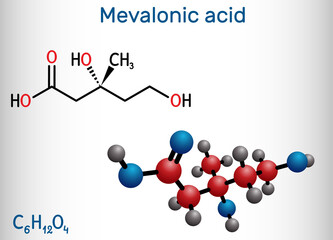 Mevalonic acid, MVA, R-mevalonic acid molecule. It is precursor in the mevalonate pathway, carboxylate anion is mevalonate. Structural formula, molecule model