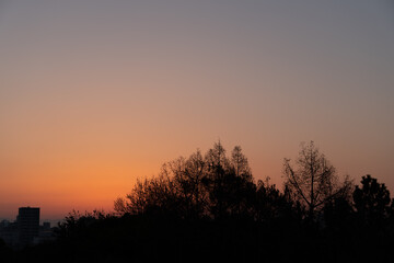 朝焼け