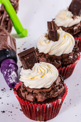 Chocolate cupcake, cream and chocolate topping on white background. Vertical shot