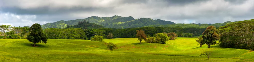 Fototapete Fotos Beautiful Pastoral Valley on the Island of Kauai, Hawaii. Grazing sheep and beautiful light make this an idyllic tropical vista on the "Garden Island" of Kauai, Hawaii.  © LoweStock