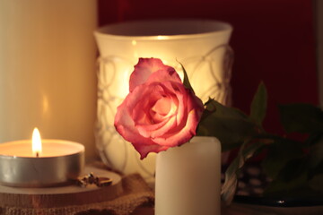 czerwona  róża  na  stole  w  pokoju  między    świeczkami   - 437591113