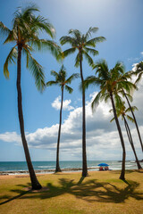 Tropical Hawaiian Beach. Palm trees, blue sky, puffy white clouds and white sand make for a perfect day of sunbathing at Salt Pond Beach on the island of Kauai, Hawaii. 