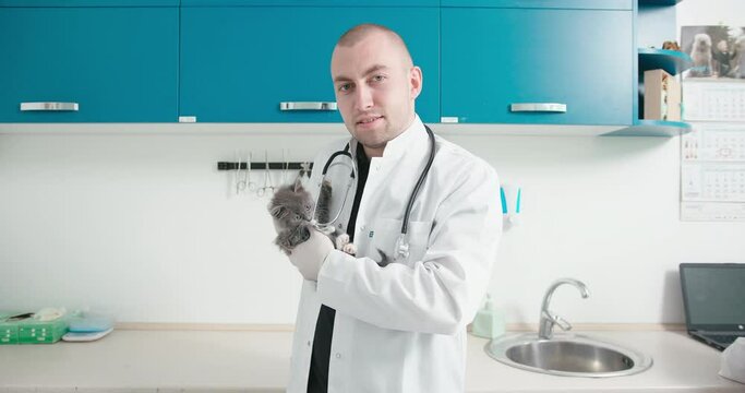 Veterinarian doctor pose with kitten in hands looking at camera. Animal clinic