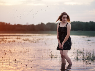 Shy sweet young woman in a black short dress at sunset. Standing in the water, a reflection of the...