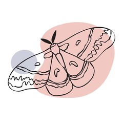Vector moth illustration for prints.