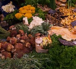 Assorted mushrooms for sale in market including morellos and oyster mushrooms