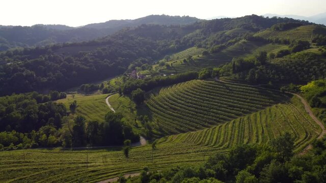 vineyard in the mountains- village of Montevecchia and Curone Valley regional park, Brianza, Lombardy, Italy