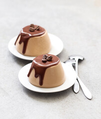 Creamy coffee jelly with chocolate on a plate on a light gray background
