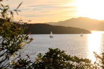 夕焼けに染まるリアス式海岸の沖に浮かぶヨット【ニュージーランド】