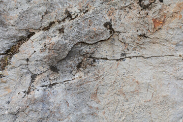 Grey stone texture closeup background