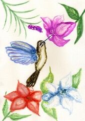 Hummingbird and flower art