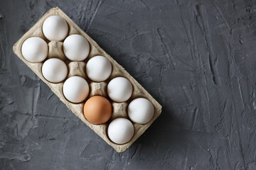 Collection of white and brown eggs isolated on white background