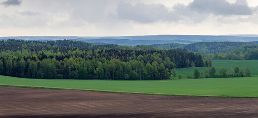 Panorama of plowed and fresh green agricultural fields under a cloudy sky. Fresh green pasture and foggy forest to the horizon. Reserve natural landscape with fields and forests of Belarus - Powered by Adobe